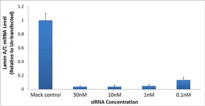原代细胞 图2.png