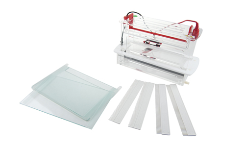 JY-SCZ7型 垂直电泳槽