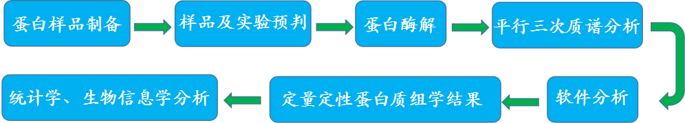  label free 非标定量蛋白质组学