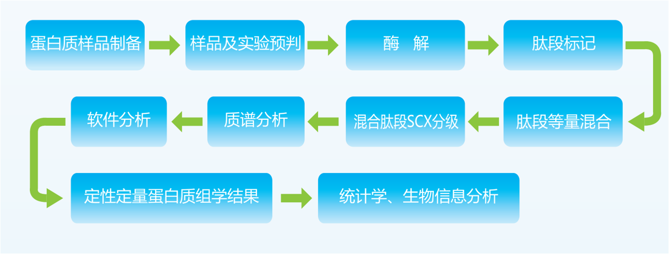 TMT标记定量蛋白质组学技术