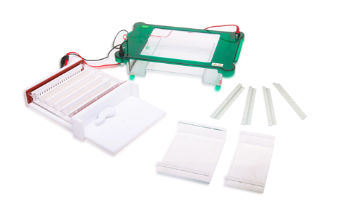 JY-SPGT型 水平电泳槽