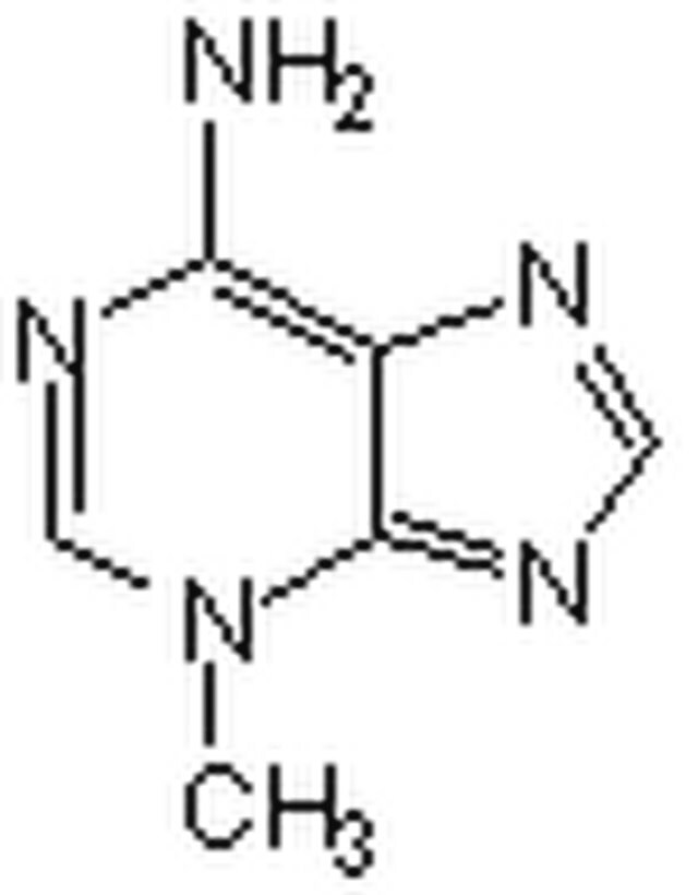 自噬抑制剂3-MA-CAS 5142-23-4-Calbiochem 189490