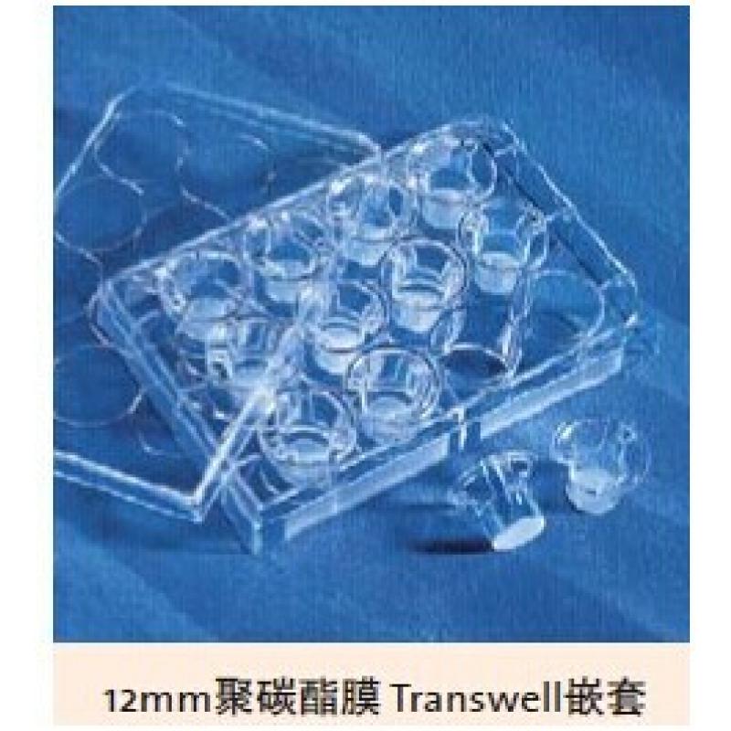 Transwell嵌套系列