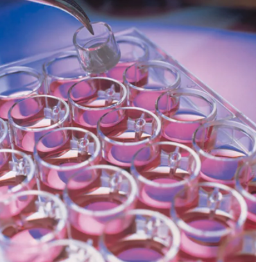 Millicell细胞培养小室,30mm,亲水PTFE,0.4µm PICM03050