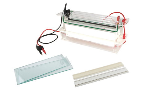 JY-SCZF-B型 高通量垂直电泳槽